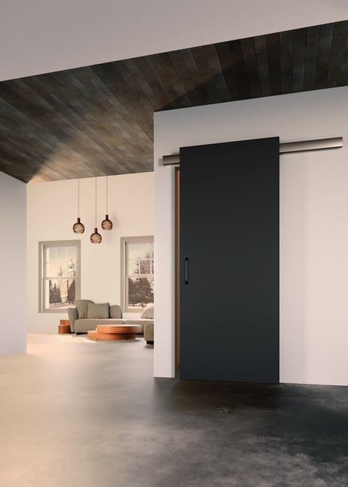 Terno Scorrevoli Moderné posuvné kovanie Diva Fluid s tlmením / 80kg / 600-1500 / hliník / 2m / DF.0012