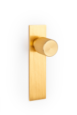 �chytka knobka Viefe ARPA PLATE / zlat� / priemer 22 mm